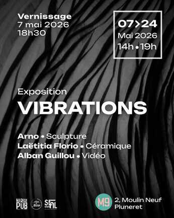 VIBRATIONS - 4