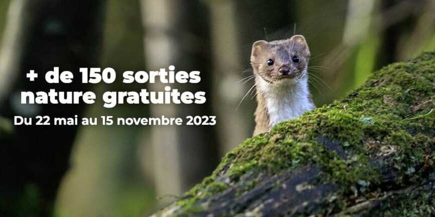 "Morbihan grandeur nature": Autour du pressage de pommes