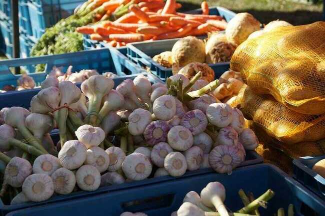 Marché de Locoal Mendon