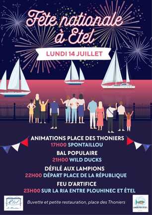 Multicolore Fête nationale Feu d'artifice Affiche Illustratif 