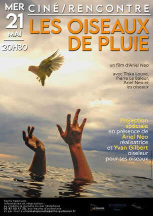 oiseauxdepluie02-scaled