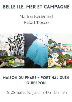 Belle Ile, mer et campagne