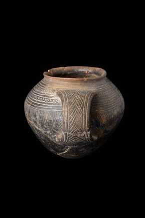 Poterie campaniforme
