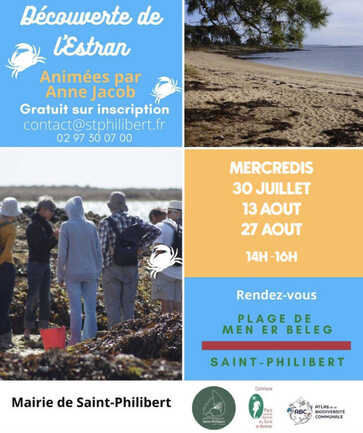 découverte de l'estran