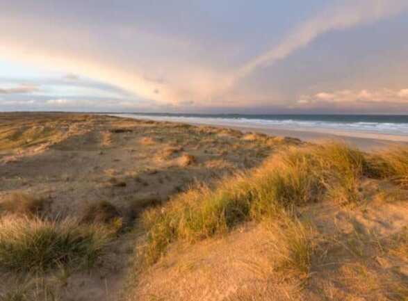 Dunes
