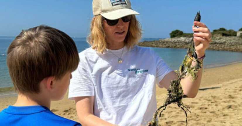 Exploration laisse de mer 