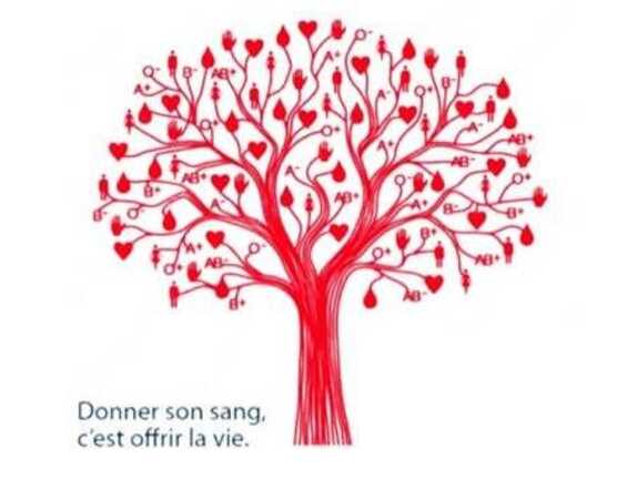 2265-1765743579-642789@1200