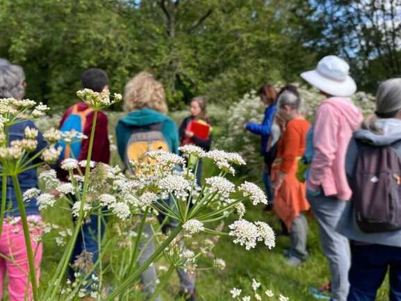 incroyables-chemins-stage-phytotherapie-herboristerie-moulin-des-hirondelles (21)