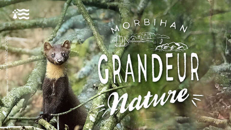 Morbihan Grandeur Nature