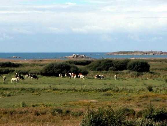 Gîte Ty Gwenn - ERDEVEN- BRETAGNE