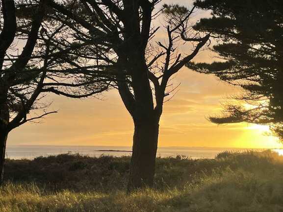 Baie-de-Quiberon-3