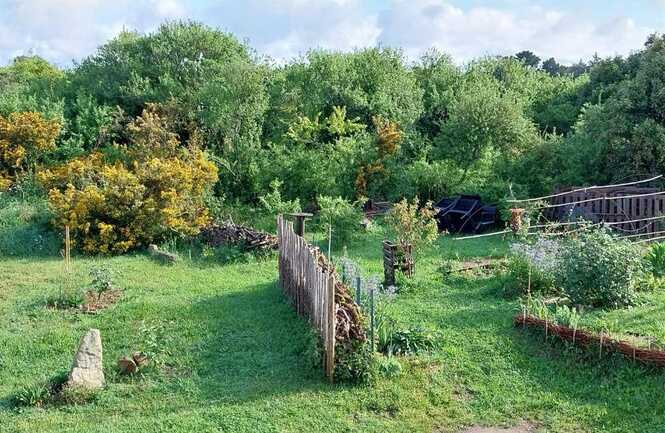 Jardin