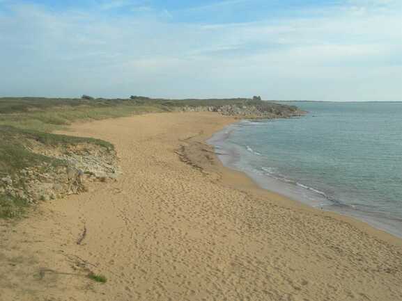 CAILLOCE_Patricia_14_ERDEVEN_Mobihan_BRETAGNE_SUD
