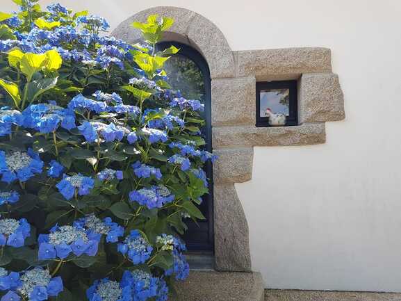 Jardin