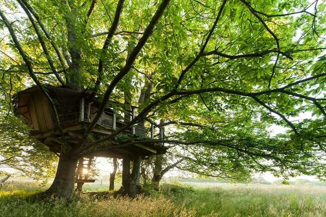 Cabane-Dihan-Ploemel-Morbihan-Bretagne-Sud