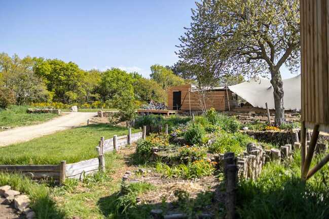 Dihanévasion-permaculture-potager-bar