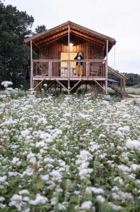 ecolodges nature