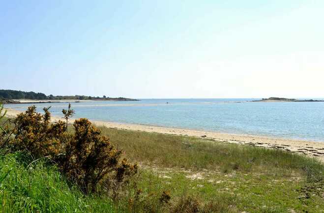 marais- La Trinité-sur-Mer-Morbihan-Bretagne-Sud