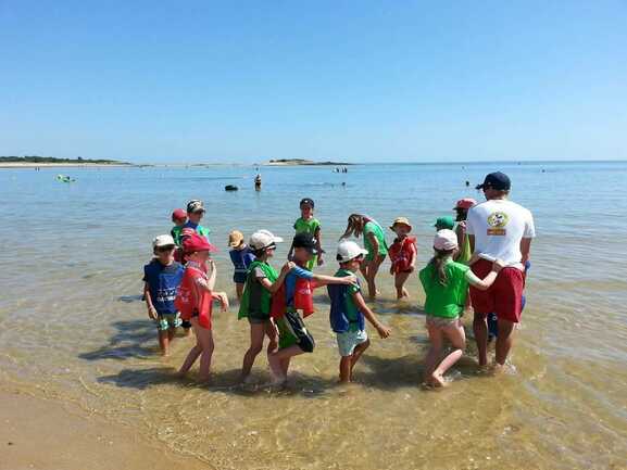 Club de plage Mickey Plein Air-La Trinité sur Mer-Morbihan Bretagne Sud