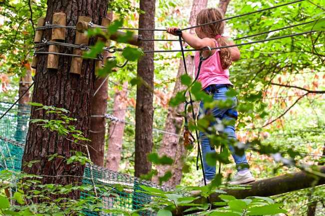 Accrobranche - Ludana Parc -Camors 