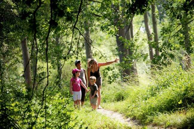 accrobranche-utopia-parc-camors