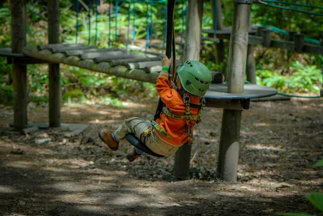 Parc Aventure FORET ADRENALINE - Carnac - Pitchoun (2-3ans)