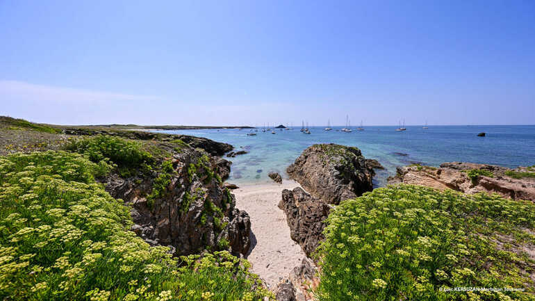 Quiberon_BreizhGo Océane_Ile de Houat