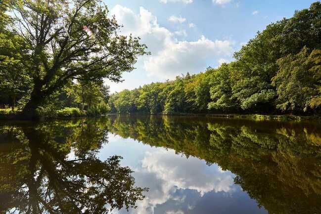 camors-randonnee-morbihan