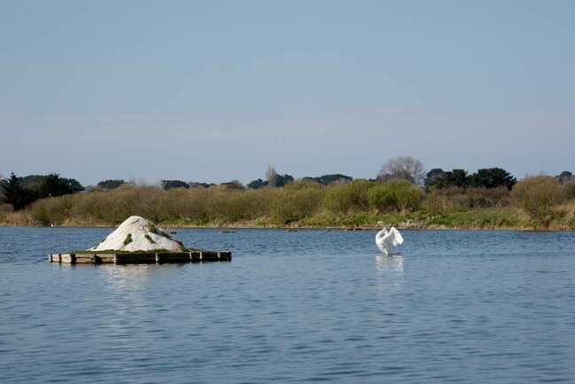 Vue-marais-salants-Petit-train-touristique-Carnac-Morbihan-Bretagne-Sud