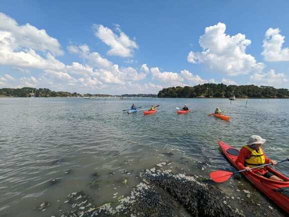 photo 5 Varec'h-Kayak-Bretagne-Baden-Golfe-du-Morbihan-Bretagne sud