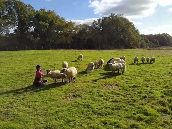 Ferme de Keruzerh Morbihan Locoal-Mendon