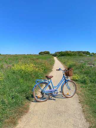 BeachBikesQuiberon7