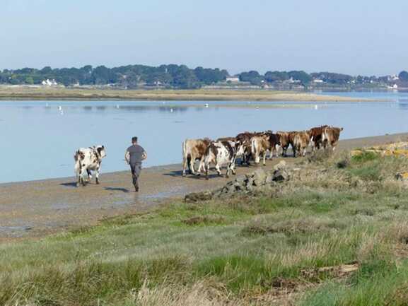 La Ferme de Saint Pierre