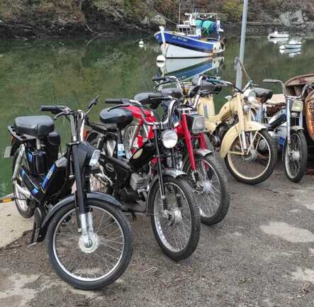 visite du port du Bono