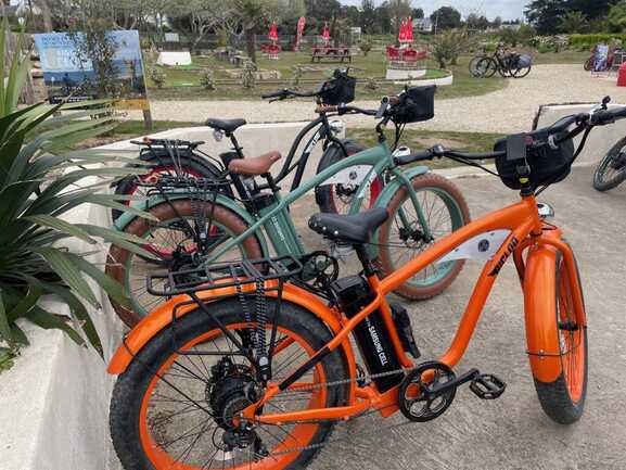 Fatbike