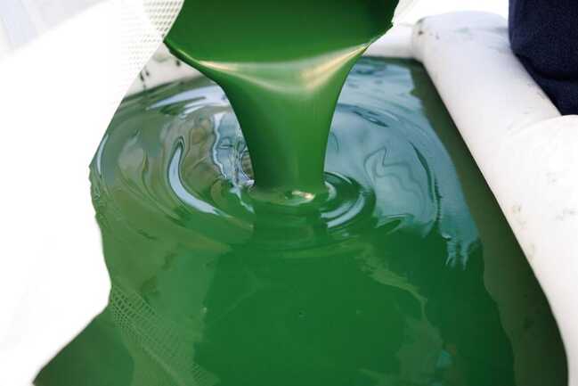 pressage-spiruline-Algo-ria