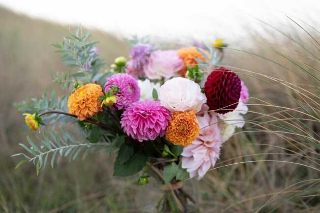 9b775d95-29d6-4c41-9295-6930b6f5fd1c