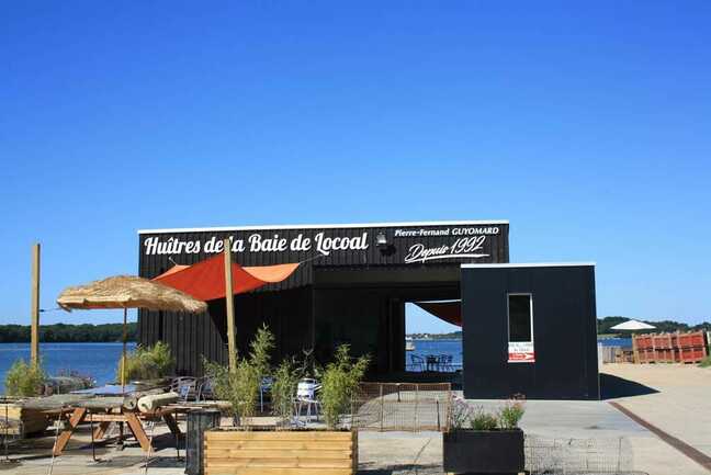huitres -de-la-baie-locoal-mendon-morbihan-bretagne