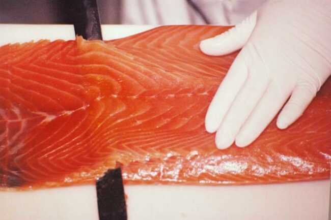 Saumonerie_du_loch