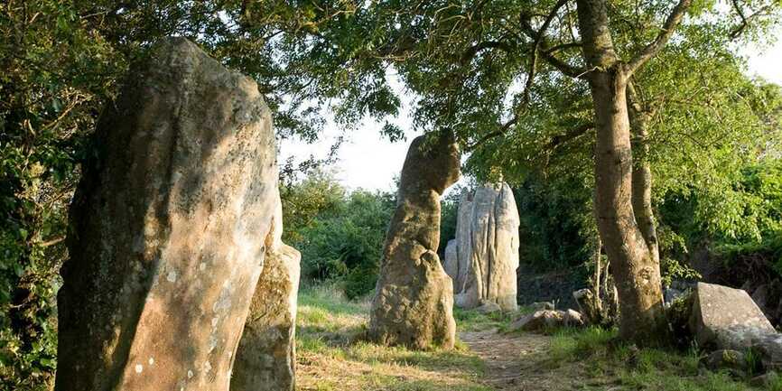 Alignements-Kerzerho-Erdeven-Morbihan-Bretagne-Sud