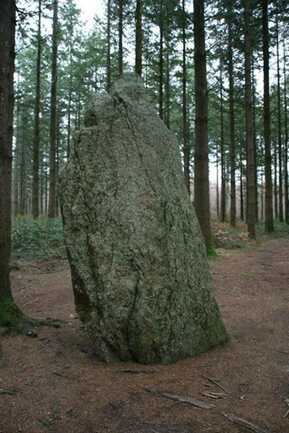 Menhir Vras Camors Morbihan Bretagne-sud