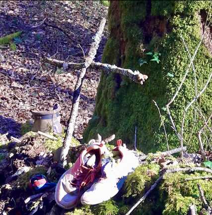 Chêne Bé-Er-Sant (Tombe du Saint)
