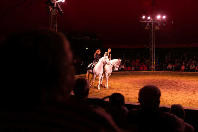 Haras National d'Hennebont