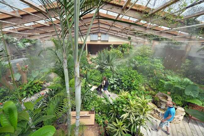 Jardin Aux Papillons A Vannes Activite Pour Les Enfants Baie De Quiberon