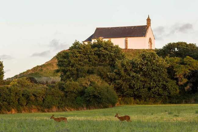 Tumulus-St-Michel-Morbihan-Carnac -Bretagne-Sud