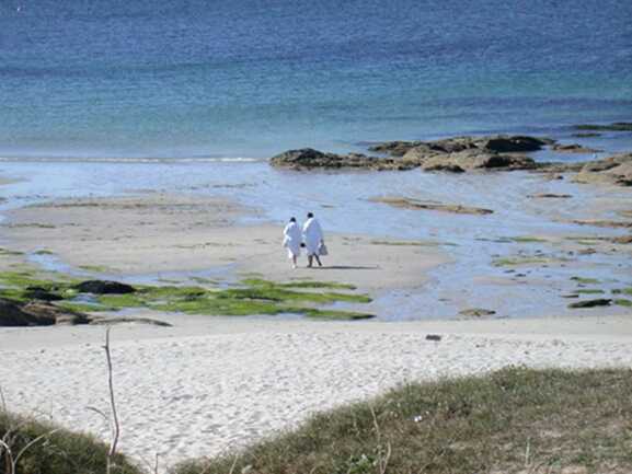 Plage Quiberon Chien