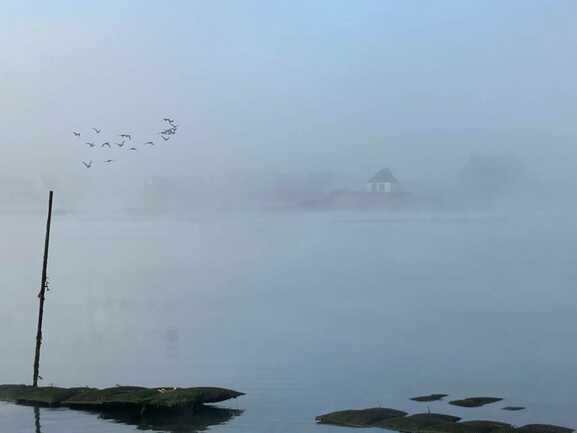 Belz- Larmor Ostrea - Vol de canards