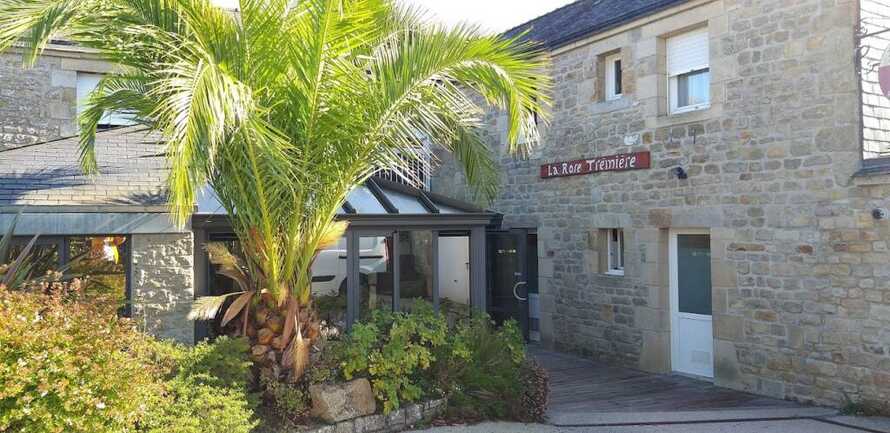 Devanture rose trémière