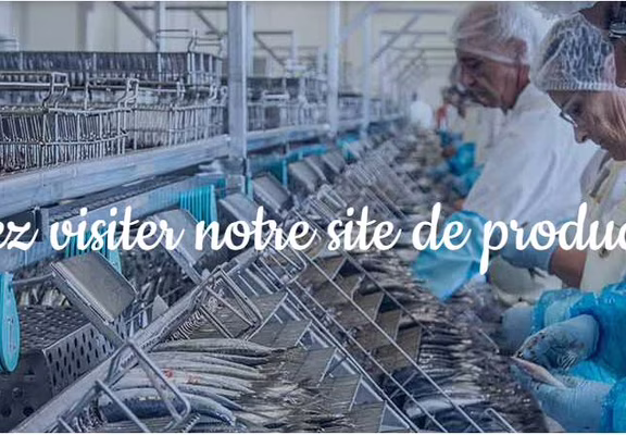 Visite Belle Iloise