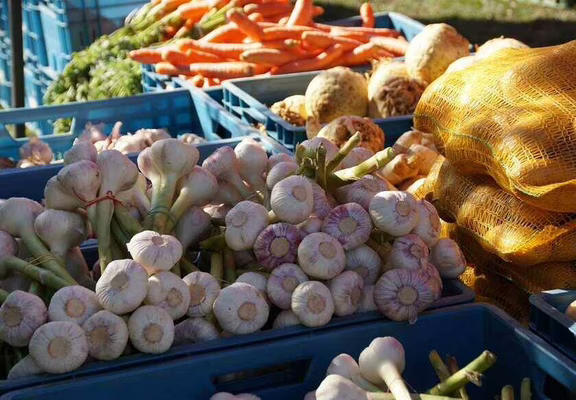Marché hebdomadaire à Locoal-Mendon